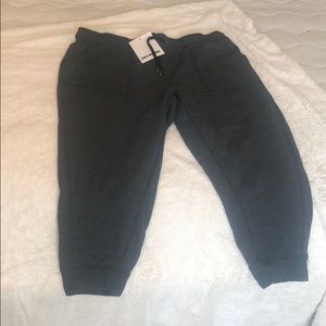 NWT-- ivy park grey sweatpants